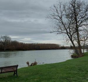 D'Attichy vers Jaulzy et bords d'Aisne - Attichy - 5