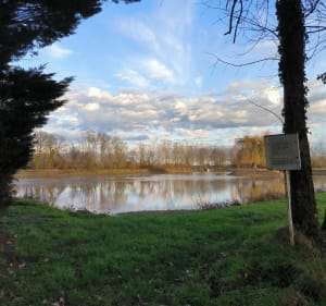 Plaine de Saône et Source Saint-André - Glanon - 5