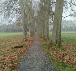 Promenade au bord du canal du midi - Labastide-d'Anjou - 4