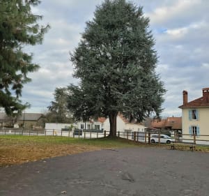 Idron et chateau de Franqueville - Idron - 3