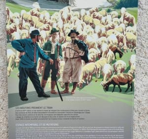 La dent du loup et plateau de sornin. - Engins - 3