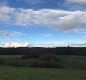 Chemin de Tort de Souslens - Castaignos-Souslens - 3