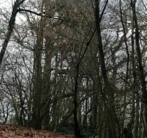 Boucle d'Abos - Abos - 5