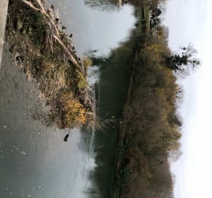 Balade entre le canal de Chelles et la Marne - Vaires-sur-Marne - 4
