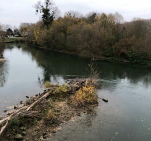 Balade entre le canal de Chelles et la Marne - Vaires-sur-Marne - 8