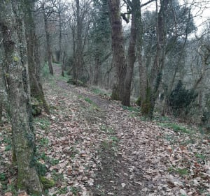 Vallée de l'argenton - Argentonnay - 4