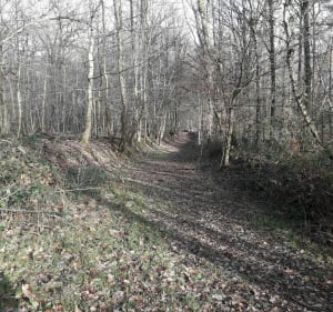 Belle randonnée auTuffe sud - Tuffé-Val-de-la-Chéronne - 4