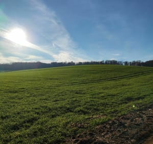 Vallée de l'Avre - Aurore - 3