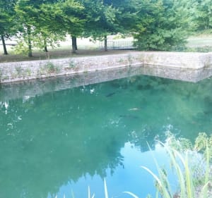 Petite boucle de Celles sur Belle, en passant par l'Abbaye - Celles-sur-Belle - 3