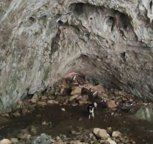 La Grotte et l'Aven de Peyre-Haute - Méjannes-le-Clap - 4