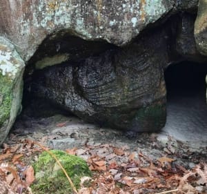 Depuis la croix d Augas - Fontainebleau - 5
