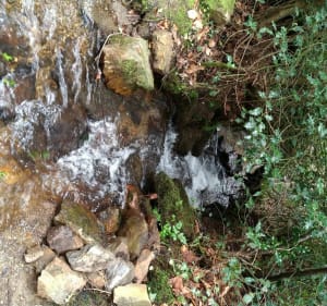 Berrien Trénivel par la forêt de Huelgoat - Berrien - 5
