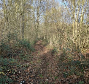 Circuit de Braches - Braches - 5