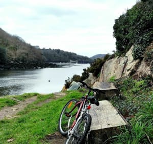 Au fil du Léguer depuis Lannion - Lannion - 4