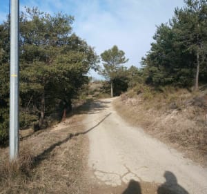 En forêt vers Villemus - Manosque - 3
