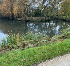 Rigoles, étangs et forêt autour de Vielles-Maisons-sur-Joudry - Vieilles-Maisons-sur-Joudry - 4