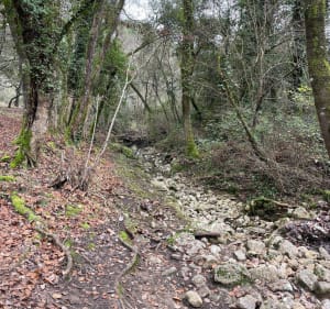 Parc du Sinodon, piste du Darbousson et du Curnier - Valbonne - 4