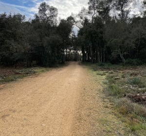 Parc du Sinodon, piste du Darbousson et du Curnier - Valbonne - 5