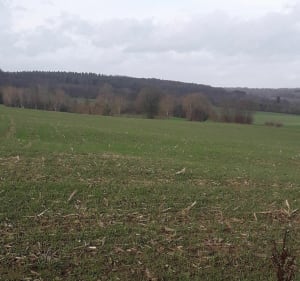 Ceton ouest - Ceton - 4