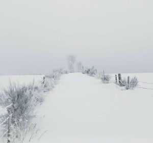Quelques pas au dessus d'Auriac à Oultet - Mont Lozère et Goulet - 4