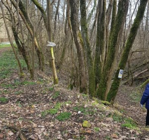 Sentier de la vallée de la croisade - Salles - 4
