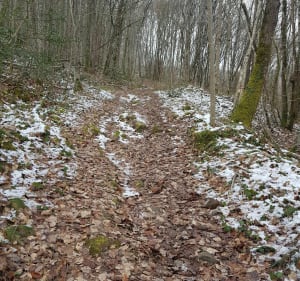 Sentier de la vallée de la croisade - Salles - 5