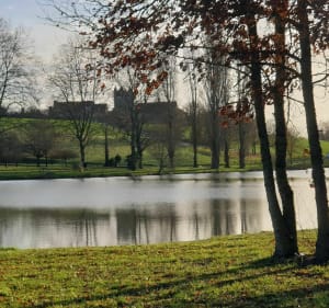 D'un étang à l'autre - Fléré-la-Rivière - 5