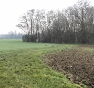 Petite Rando hivernale à Quiers sur Bézonde - Quiers sur Bézonde - 3
