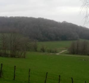 Côte de Montmorin et Mont Genezet à Plainoiseau - Plainoiseau - 3