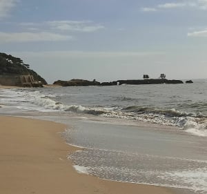 De la grande Côte à la Conche du Gilet - Vaux sur Mer - 5