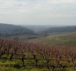 Côte de Montmorin et Mont Genezet à Plainoiseau - Plainoiseau - 4
