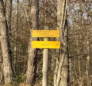 Forêt domaniale, pays Chantellais dans l’Allier en Auvergne - Deneuille-lès-Chantelle - 5