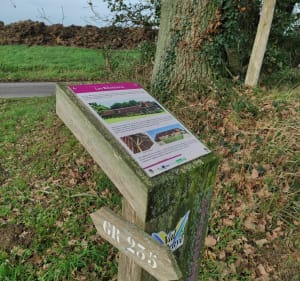 Autour de Montmirail par les Chennevris - Montmirail - 3