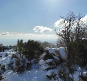Mas de la Barque, ses steppes et ses forêts - Pont-de-Montvert-Sud-Mont-Lozère - 3