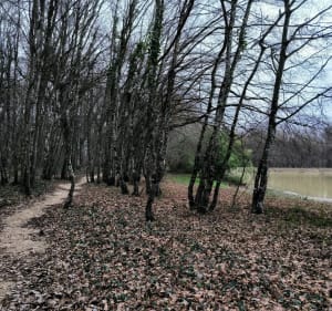 Wandeling in het Montmain-bos - Montmain - 3