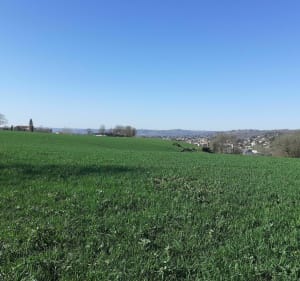 Balade les Avalats - St Juery le haut - Arthès - 3