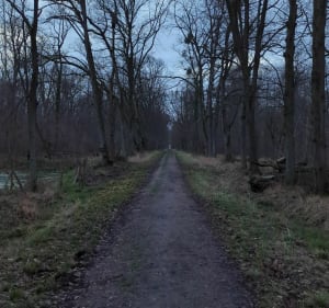 Boucle dans le Bois Saint-Martin - Noisy-le-Grand - 3