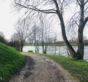 Het meer van La Ferté-Bernard - La Ferté-Bernard - 4