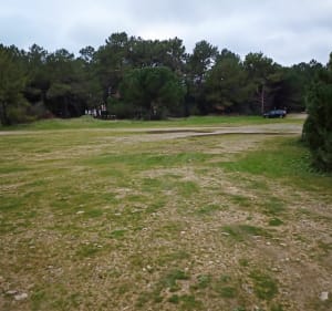 Balade dans les bois et nettoyage de la plage des Gouillauds - Le Bois-Plage-en-Ré - 3