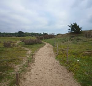 Balade dans les bois et nettoyage de la plage des Gouillauds - Le Bois-Plage-en-Ré - 4