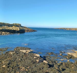 GR34 et plus à Porspoder vers l'Ile de Melon - Porspoder - 4