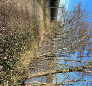D’un village à un autre en flânant sur les bords de l’Oise - Eragny - 4