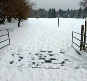 Balade dans la neige au pied du Puy de Dôme - Orcines - 4