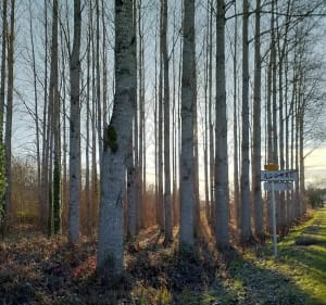 Balade au nord d'Agonac - Agonac - 3