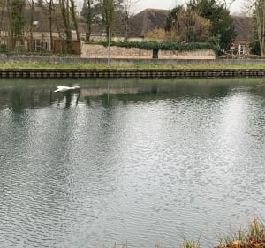 Balade dans la campagne et au bord du canal le Loing - Faÿ-lès-Nemours - 3