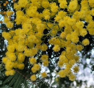 Belle randonnée au vallon de la Gaillarde - Roquebrune-sur-Argens - 4