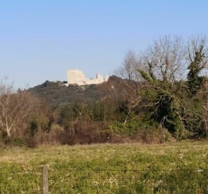 Circuit vélo de route, entre rivières et campagnes à Entraigues sur la Sorgue - Entraigues-sur-la-Sorgue - 3