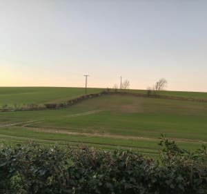 Randonnée a Hallinghen par Saint-Wulmer - Halinghen - 5
