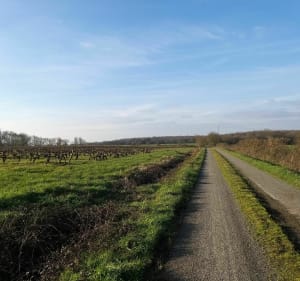 Balade dans la campagne Vieillevignoise - Vieillevigne - 5