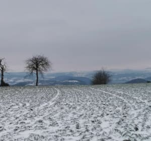 Balade dans Chaspi - Chaspinhac - 3